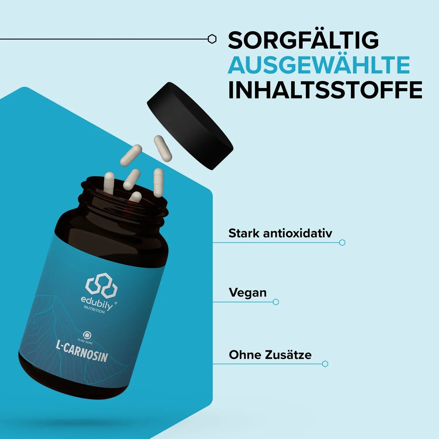 edubily® PURE L-Carnosin Kapseln | 60 Kapseln